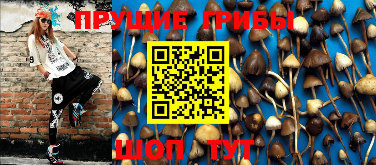 Галлюциногенные грибы MAGIC MUSHROOMS  Вход с VPN  Новоалтайск 