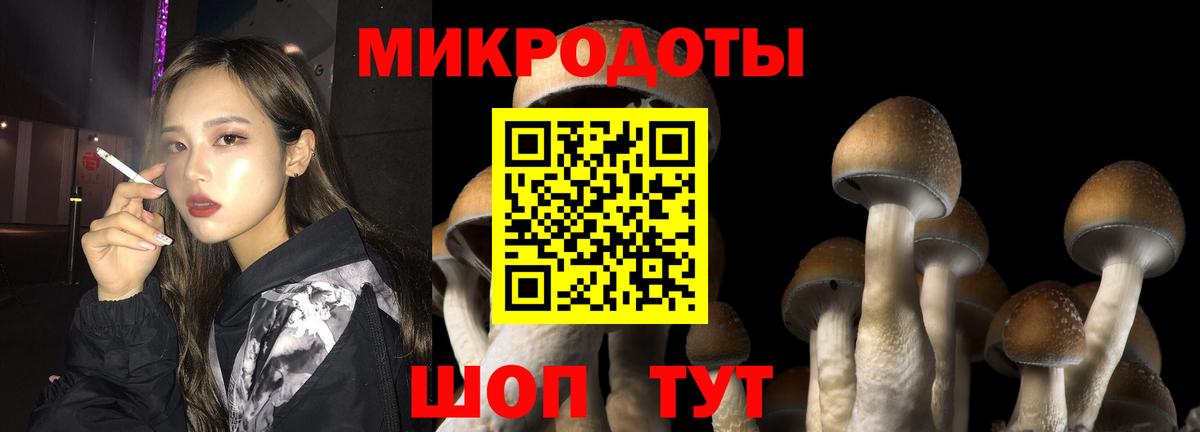 Галлюциногенные грибы мицелий Новоалтайск